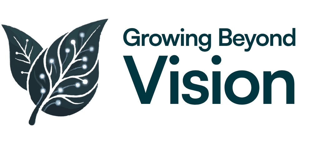 Growing Beyond Vision